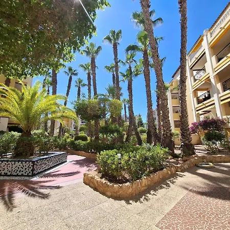 Oasis - Near Locos Torrevieja