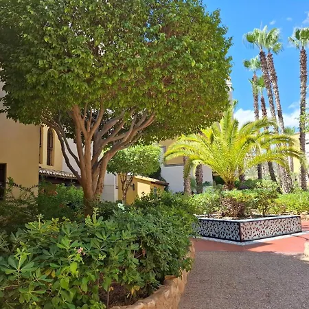 Oasis - Near Locos Torrevieja