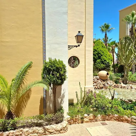 Oasis - Near Locos *