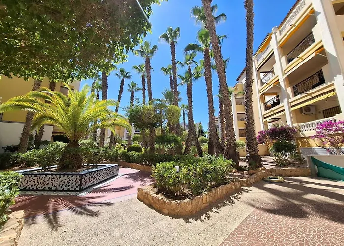 Oasis - Near Locos Torrevieja