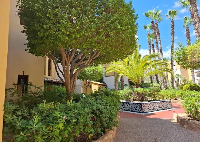 Oasis - Near Locos Torrevieja