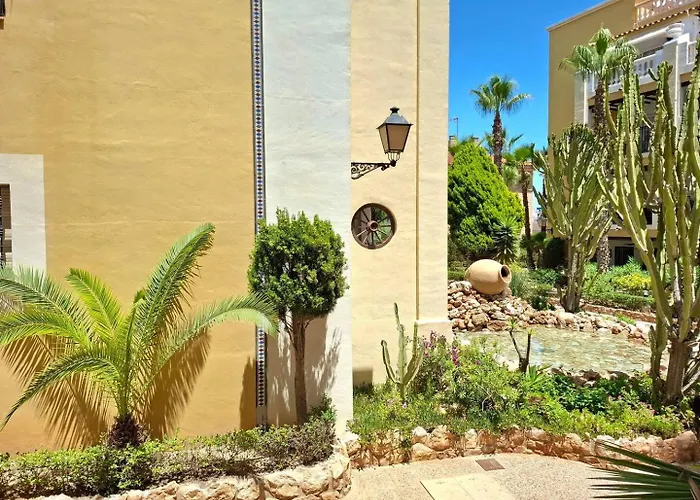 Oasis - Near Locos *