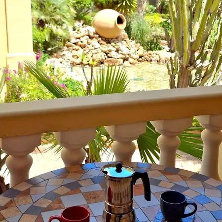 Oasis - Near Locos * 또레비에하